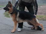 Lancelot