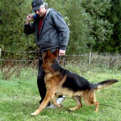 Stefan lydnad Ulano
