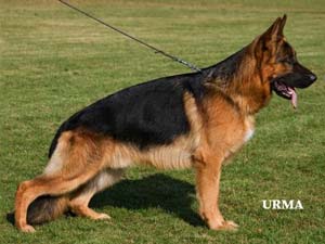 ustinov